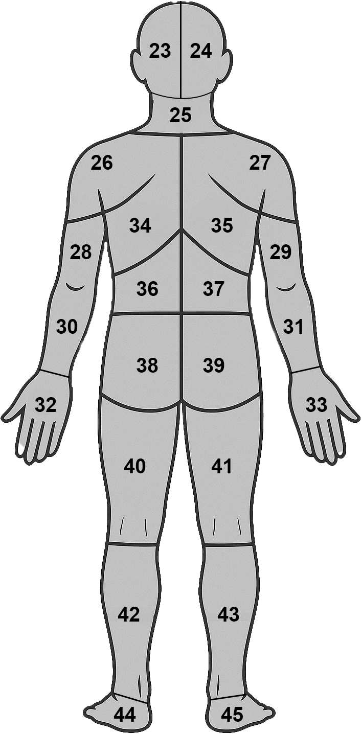 Back view body map